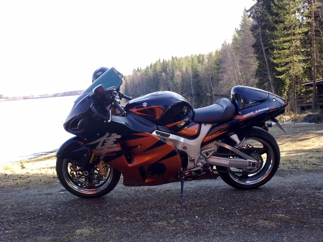 Montassa j�rven rannalla