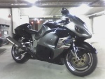 Busa talvis�il�ss� 5.11.04 (k�nnykameralaatu)