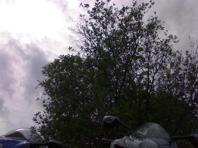 2006_06_23_13_01_20.jpg