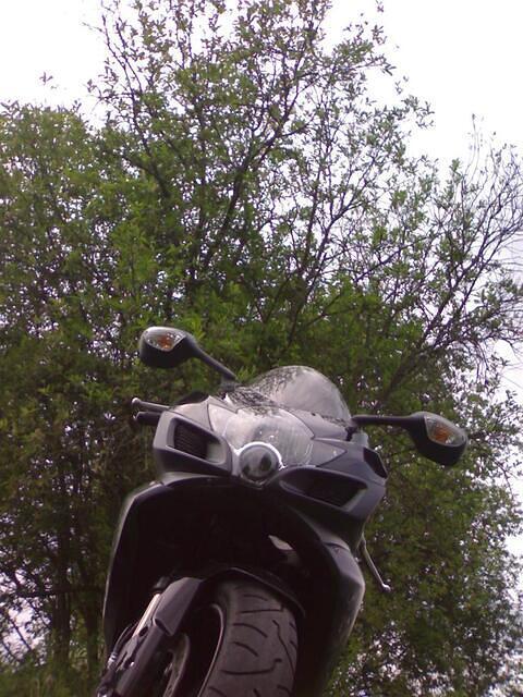 2006_06_23_13_01_44.jpg